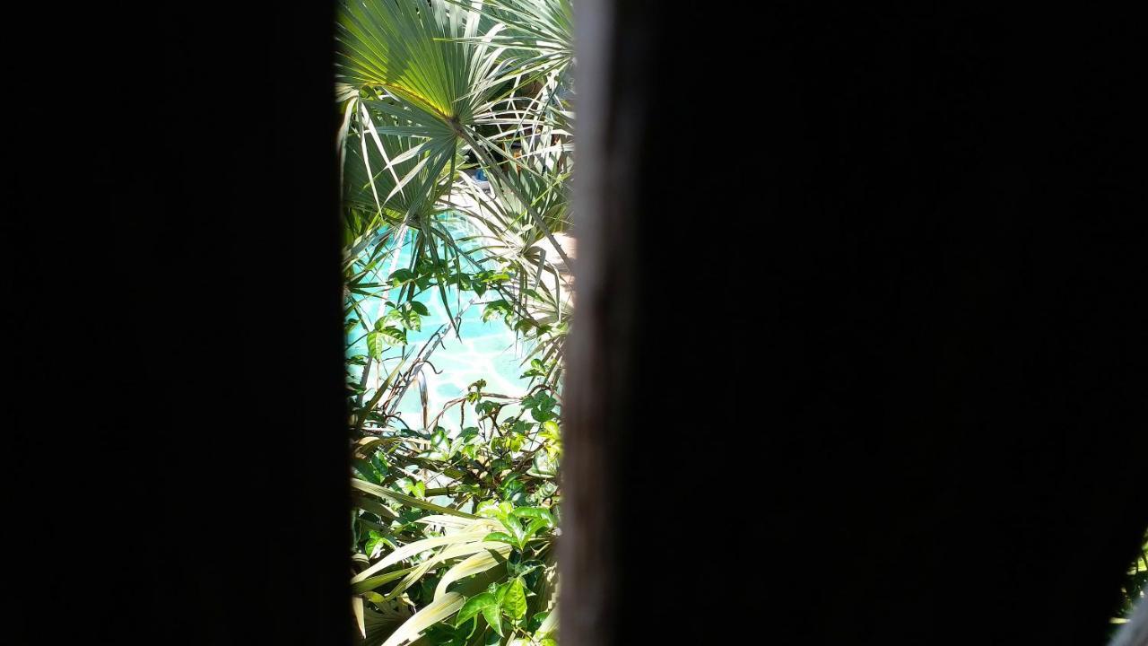 迪亚尼海滩 迪亚尼旅舍旅馆 外观 照片